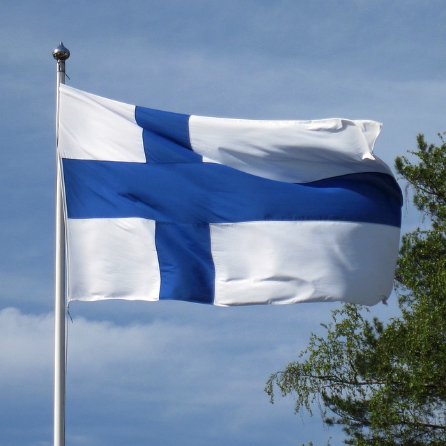 Finnish flag in a flagpole.