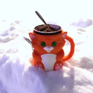 oranssi kissa jolla on vihreät silmat ja valkea vatsa. Kissa on muki, siinä on korva oikealla puolella kehoa.