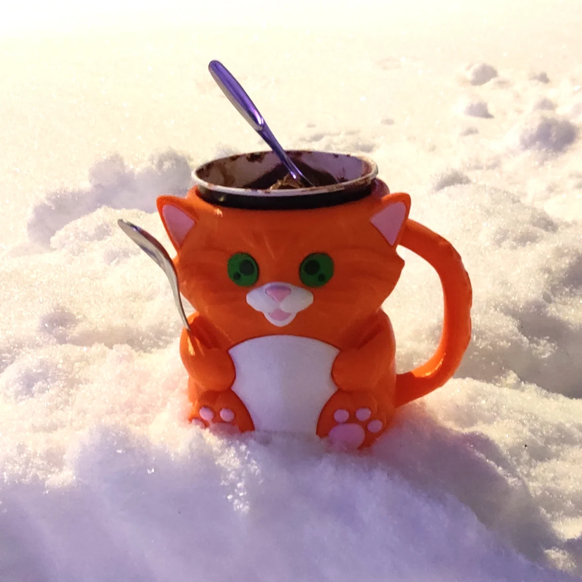 oranssi kissa jolla on vihreät silmat ja valkea vatsa. Kissa on muki, siinä on korva oikealla puolella kehoa.